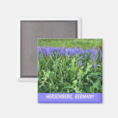 バイオレットブルーベル マグネット (正面/裏面)