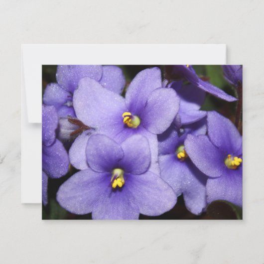 バイオレットブーケ 招待状 (正面)