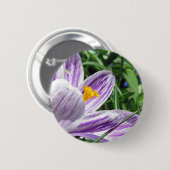 バイオレット春クロカス 缶バッジ (正面&裏面)