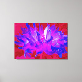 バイオレット素晴らしブルーとホットピンクサボサボダリア キャンバスプリント