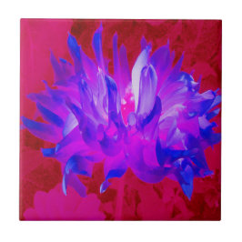 バイオレット素晴らしブルーとホットピンクサボサボダリア タイル