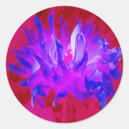 バイオレット素晴らしブルーとホットピンクサボサボダリア ラウンドシール