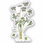 バイオレット花の植物性スケッチ-ヴィンテージ シール (正面)