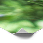 バイオレット花 – ポスター (角)