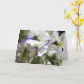 バイオレット・カード カード (黄色い花)