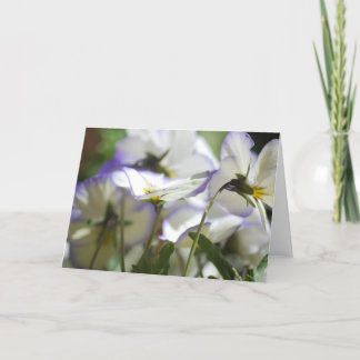 バイオレット・カード カード