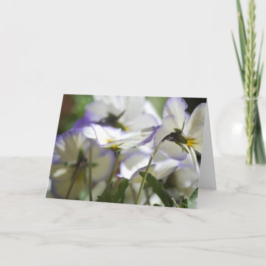 バイオレット・カード カード (正面)