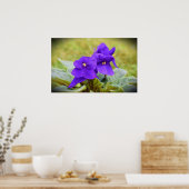 バイオレット, ポスター (キッチン)