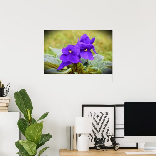 バイオレット, ポスター (ホームオフィス)