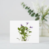 バイオレット ポストカード (スタンド正面)