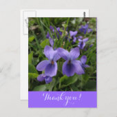 バイオレット ポストカード (正面/裏面)