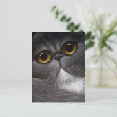バイカラーのペルシャ猫はがき ポストカード (スタンド正面)