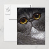 バイカラーのペルシャ猫はがき ポストカード (正面/裏面)