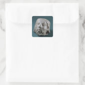 バイキングの砂岩の頭の外国人,サーナース, 3rd スクエアシール (バッグ)