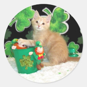 バイキングの聖パトリックの日猫/子猫 ラウンドシール