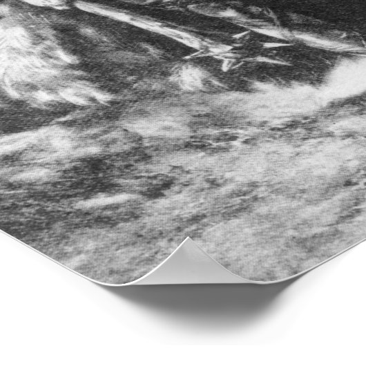 バイキング戦士 ポスター (角)