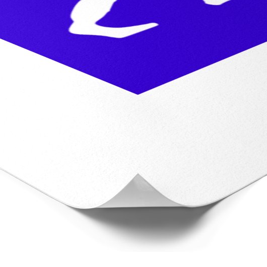 バイキング進化 ポスター (角)