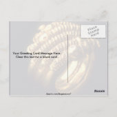 バイキング金ゴールド環 ポストカード (裏面)