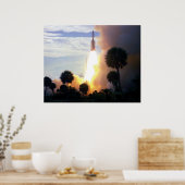 バイキング1の発表 ポスター (キッチン)