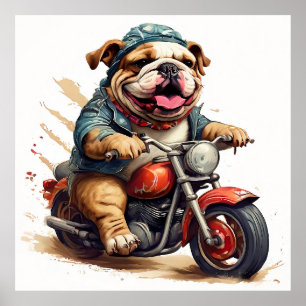 バイクお洒落に乗るブルドッグチョッパー ポスター