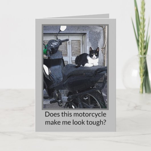 バイクとネコ / ユーモア ノートカード (正面)