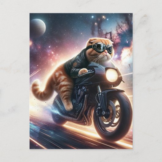 バイクに乗った猫 ポストカード (正面)