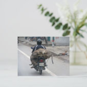 バイクに乗るブッファロー - ベトナム ポストカード (スタンド正面)