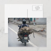バイクに乗るブッファロー - ベトナム ポストカード (正面/裏面)