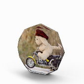 バイクに乗る犬 フォトブロック (右)