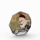 バイクに乗る犬 フォトブロック (左)