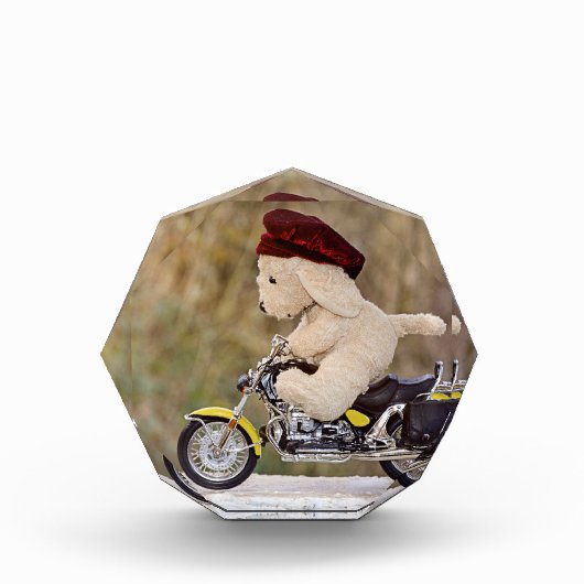 バイクに乗る犬 フォトブロック (正面)
