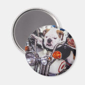 バイクのブルドッグ マグネット (正面/裏面)