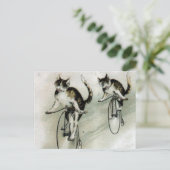 バイクのヴィンテージ猫 ポストカード (スタンド正面)