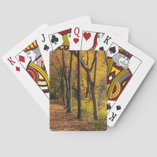 バイクの道IIの秋 トランプ (裏面)