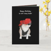 バイクもしくは自転車に乗る人おもしろいの猫誕生日 カード (黄色い花)