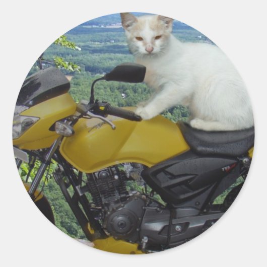 バイクもしくは自転車に乗る人猫シール ラウンドシール (正面)