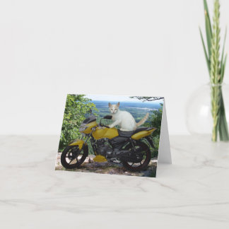 バイクもしくは自転車に乗る人猫Notecard シーズンカード