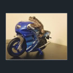 バイクカエル ポストカード<br><div class="desc">バイクカエルは最高のバイク乗り</div>