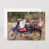 バイクカンボジアの豚 ポストカード (正面/裏面)