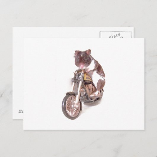 バイクハムスターのポストカード ポストカード (正面/裏面)