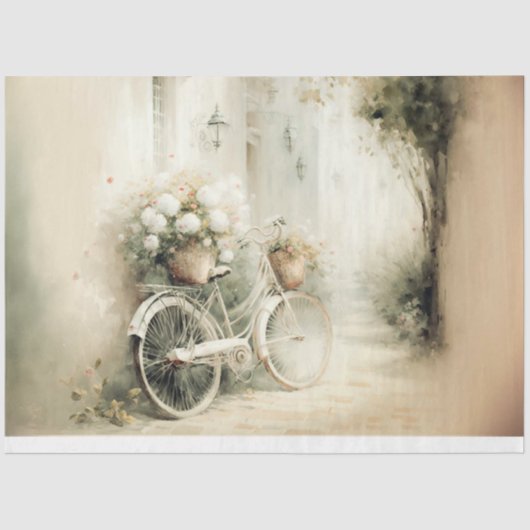 バイクフランスのス 薄葉紙 (正面)