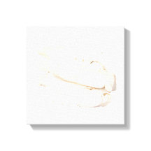 バイシャオキャンバスプリント