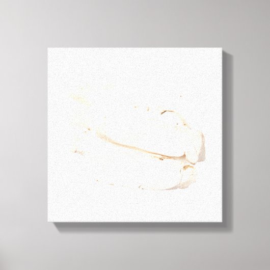 バイシャオキャンバスプリント キャンバスプリント (正面)