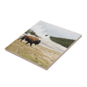 バイソンおよび古い忠実 タイル (側面)