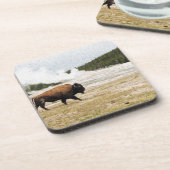 バイソンとオールド・忠実 コースター (左側)