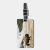 バイソンとオールド・忠実 ラゲッジタグ (正面縦)