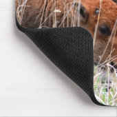 バイソンの子牛 マウスパッド (コーナー)