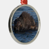バイソンの水泳 メタルオーナメント (右)