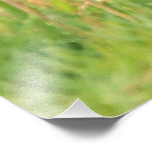 バイソンカーフフォトプリント フォトプリント            (角)