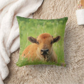 バイソンカーフ装飾用クッション クッション (ブランケット)